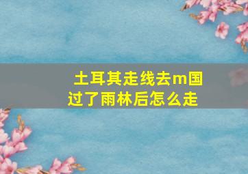 土耳其走线去m国过了雨林后怎么走