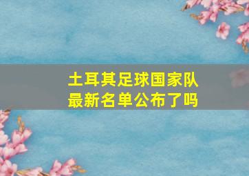 土耳其足球国家队最新名单公布了吗