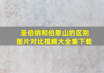 圣伯纳和伯恩山的区别图片对比视频大全集下载