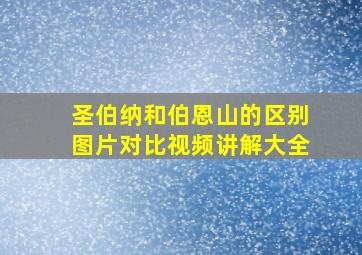 圣伯纳和伯恩山的区别图片对比视频讲解大全