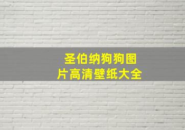 圣伯纳狗狗图片高清壁纸大全