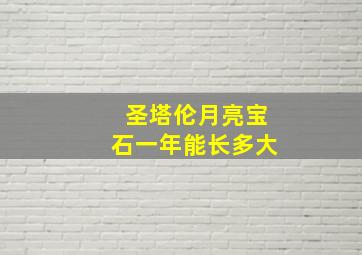 圣塔伦月亮宝石一年能长多大