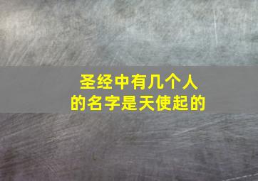 圣经中有几个人的名字是天使起的