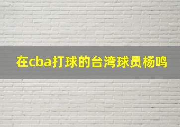 在cba打球的台湾球员杨鸣