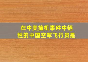 在中美撞机事件中牺牲的中国空军飞行员是