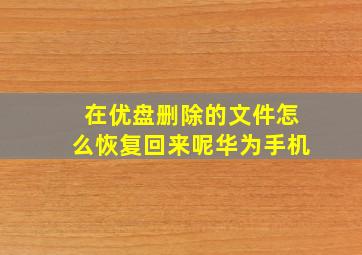 在优盘删除的文件怎么恢复回来呢华为手机