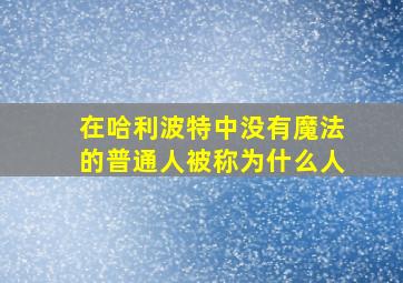 在哈利波特中没有魔法的普通人被称为什么人