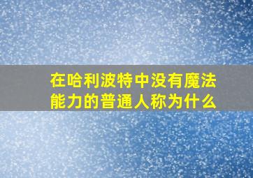 在哈利波特中没有魔法能力的普通人称为什么