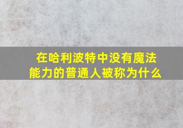 在哈利波特中没有魔法能力的普通人被称为什么