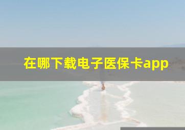 在哪下载电子医保卡app