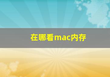 在哪看mac内存