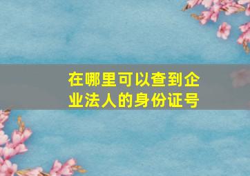 在哪里可以查到企业法人的身份证号