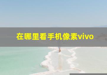 在哪里看手机像素vivo