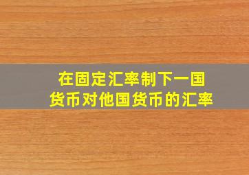 在固定汇率制下一国货币对他国货币的汇率