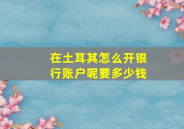 在土耳其怎么开银行账户呢要多少钱