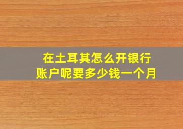 在土耳其怎么开银行账户呢要多少钱一个月