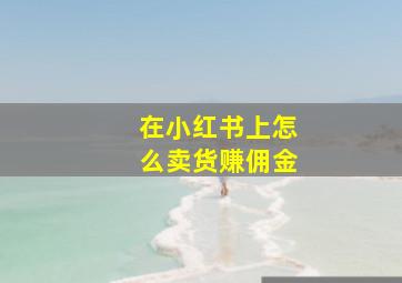 在小红书上怎么卖货赚佣金