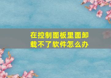 在控制面板里面卸载不了软件怎么办