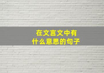 在文言文中有什么意思的句子