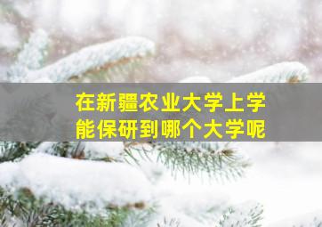 在新疆农业大学上学能保研到哪个大学呢