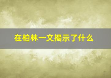 在柏林一文揭示了什么