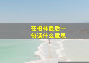 在柏林最后一句话什么意思