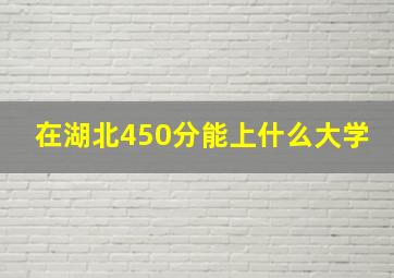 在湖北450分能上什么大学