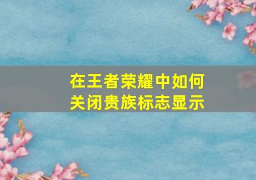 在王者荣耀中如何关闭贵族标志显示