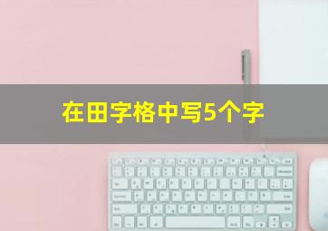 在田字格中写5个字