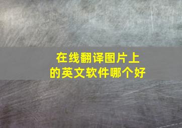 在线翻译图片上的英文软件哪个好