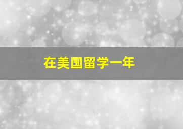 在美国留学一年