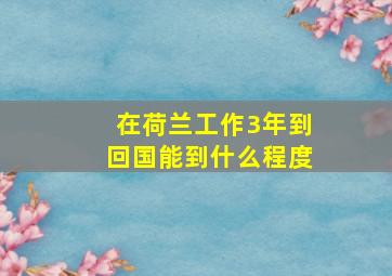 在荷兰工作3年到回国能到什么程度