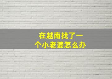 在越南找了一个小老婆怎么办