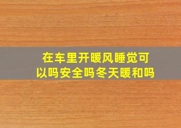 在车里开暖风睡觉可以吗安全吗冬天暖和吗