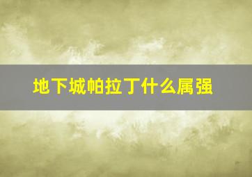 地下城帕拉丁什么属强