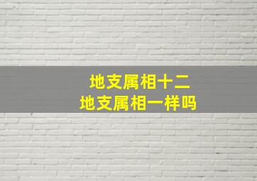 地支属相十二地支属相一样吗