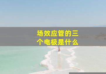 场效应管的三个电极是什么