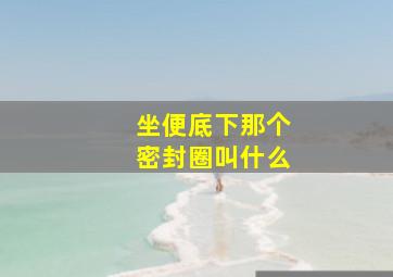 坐便底下那个密封圈叫什么