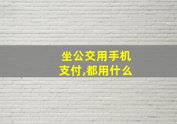 坐公交用手机支付,都用什么