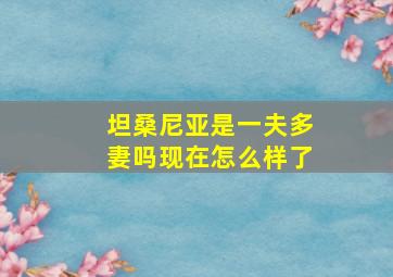 坦桑尼亚是一夫多妻吗现在怎么样了