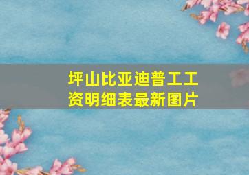 坪山比亚迪普工工资明细表最新图片