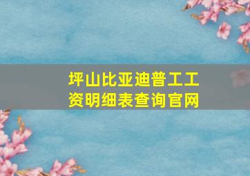 坪山比亚迪普工工资明细表查询官网