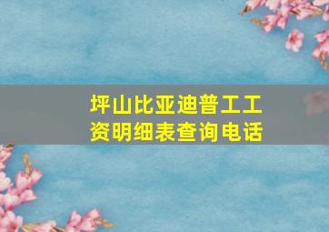 坪山比亚迪普工工资明细表查询电话