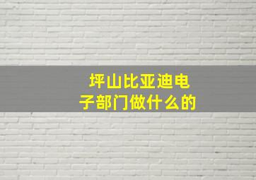 坪山比亚迪电子部门做什么的