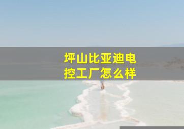 坪山比亚迪电控工厂怎么样