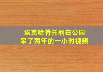 埃克哈特托利在公园呆了两年的一小时视频