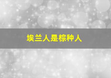 埃兰人是棕种人