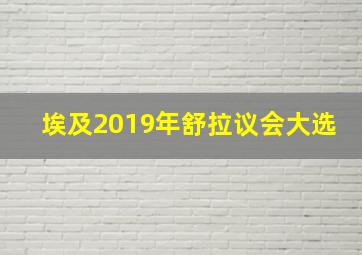 埃及2019年舒拉议会大选