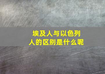 埃及人与以色列人的区别是什么呢