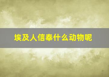 埃及人信奉什么动物呢